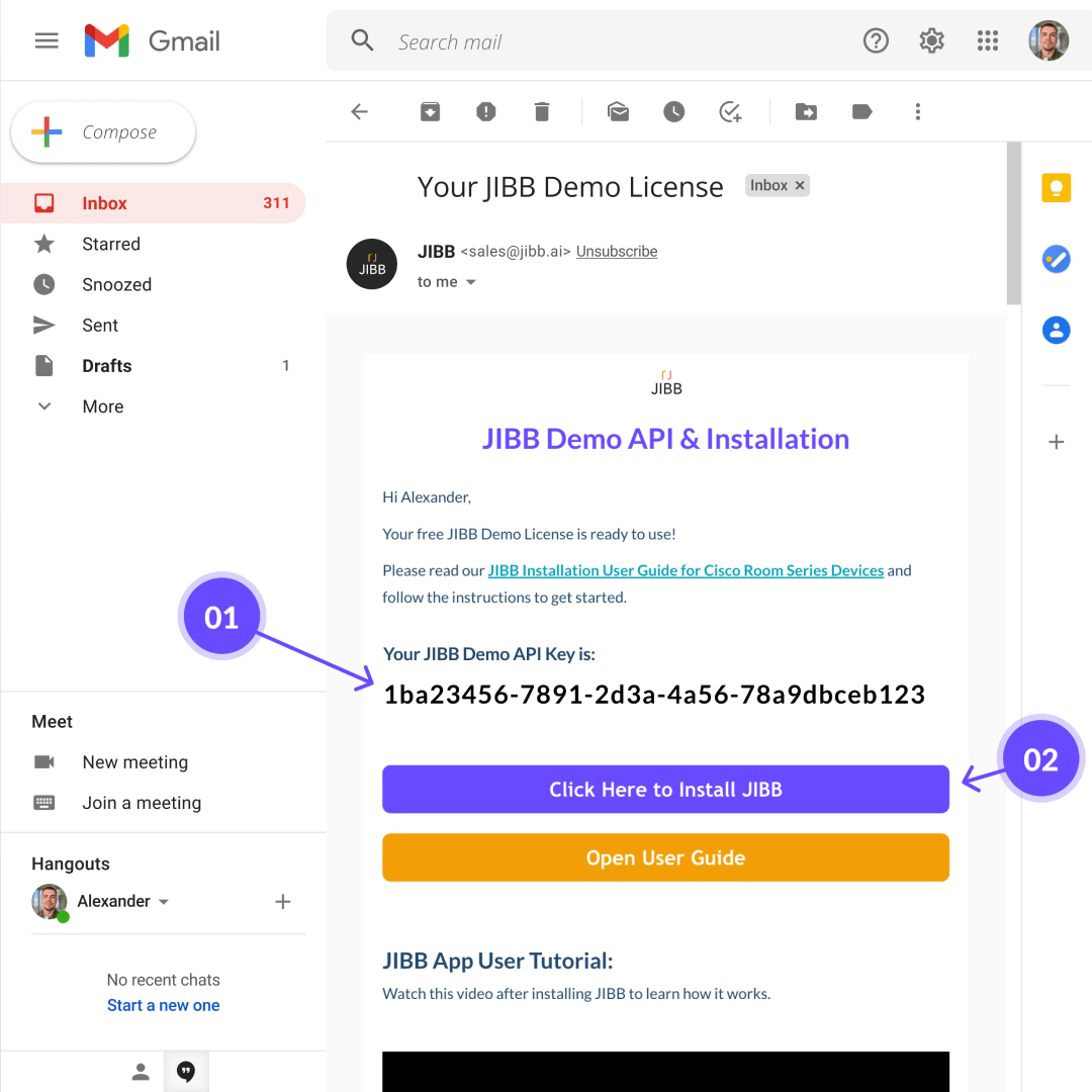 Gmail inbox displaying an email titled 'Your JIBB Demo License' with a JIBB Demo API key and buttons to install JIBB and open the user guide.